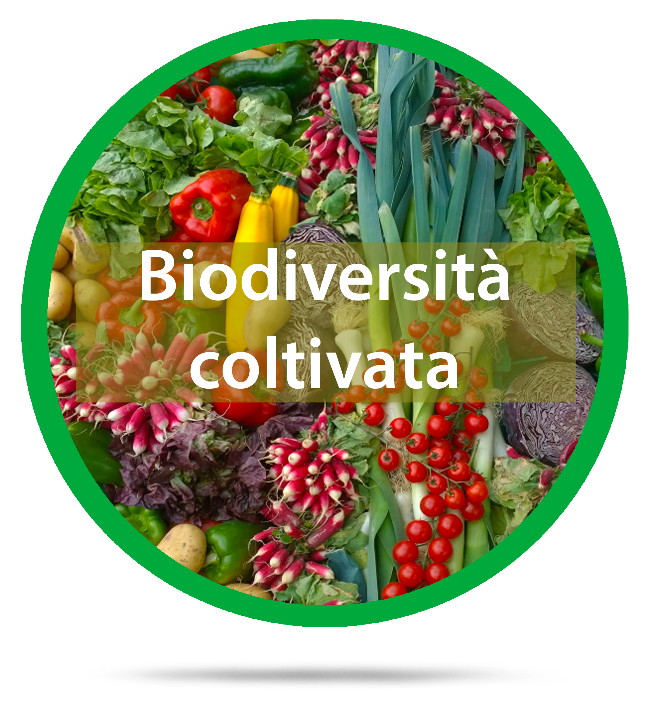 biodiversità