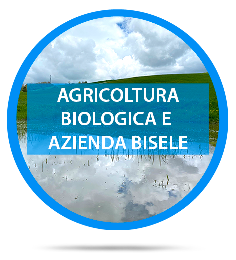 biodiversitàedagroecologia