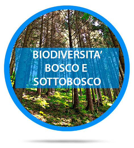 biodiversità