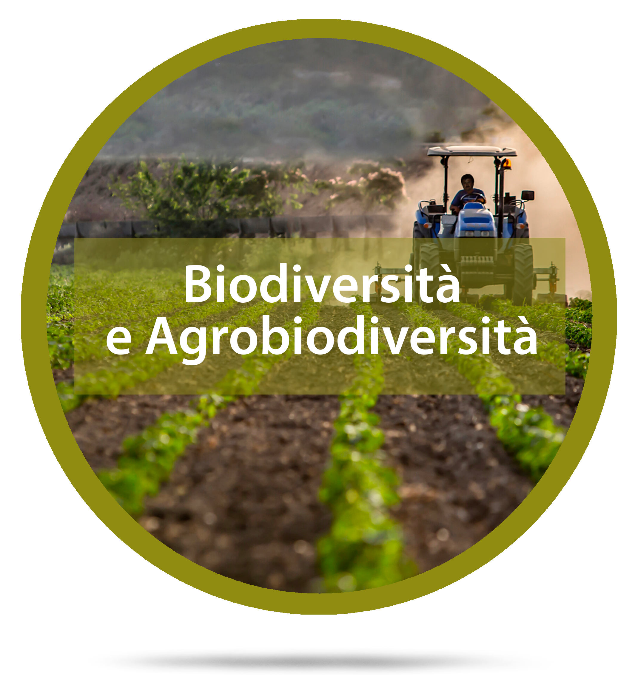 biodiversitàedagroecologia