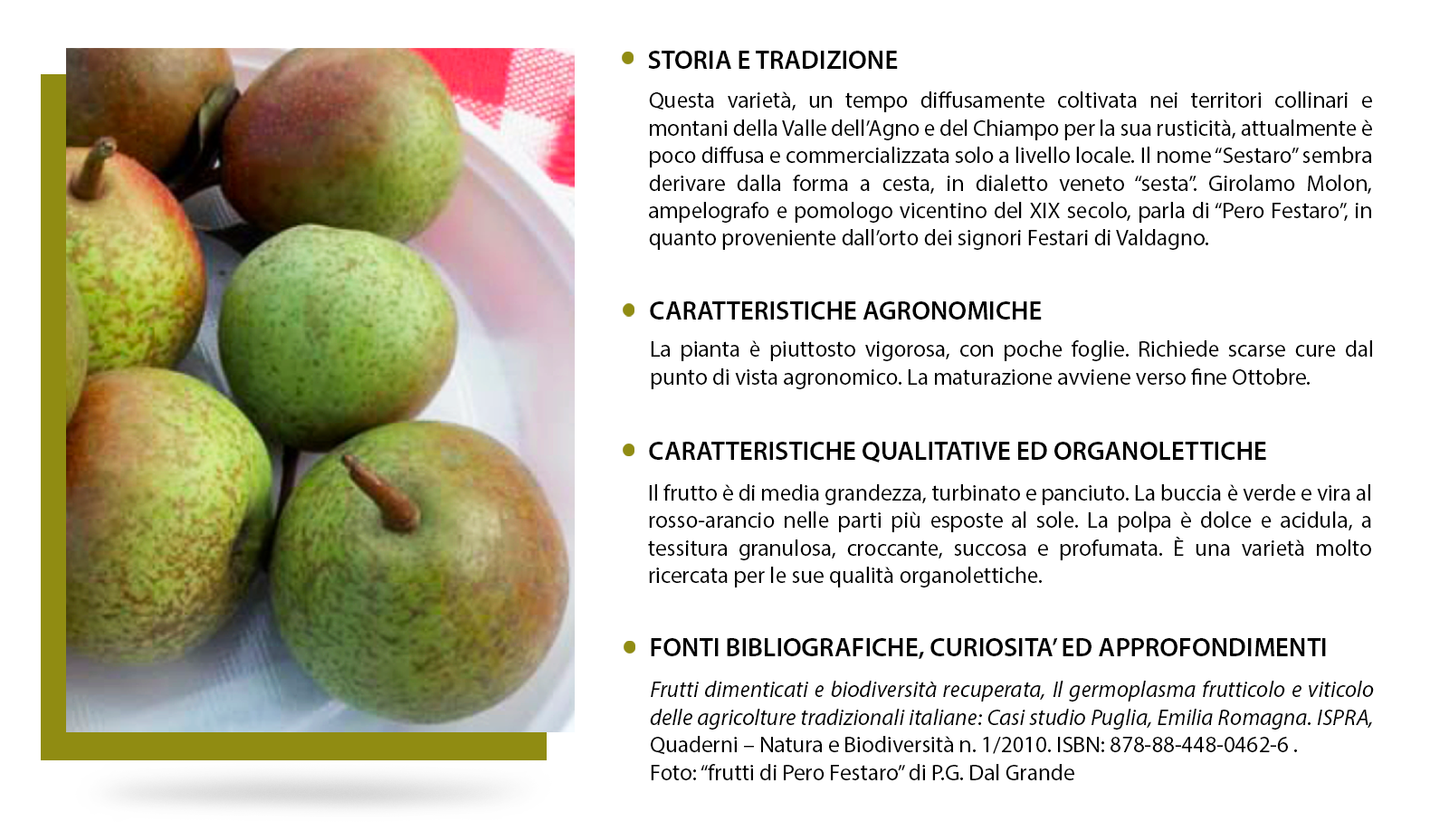 FrumentoCanove