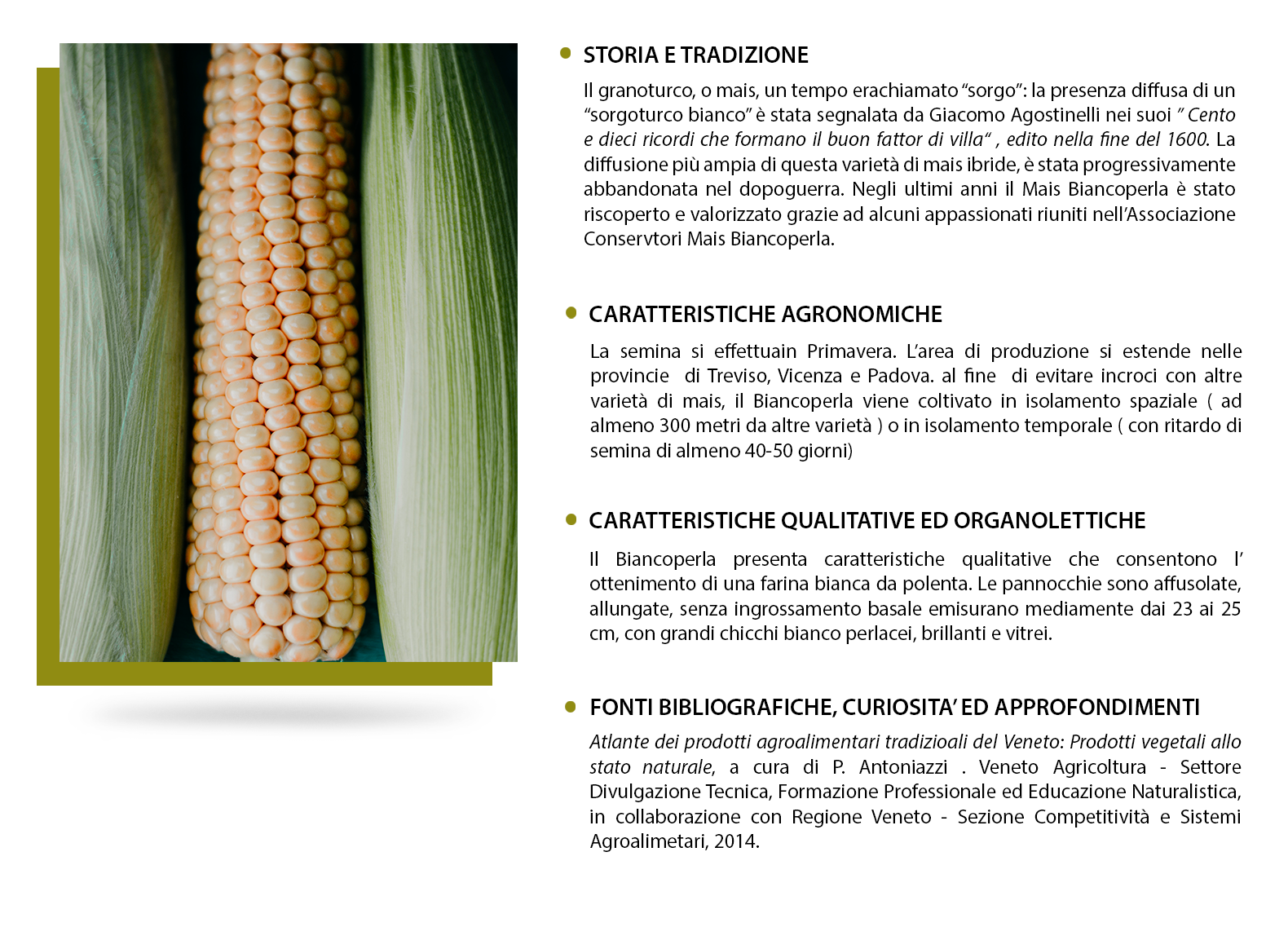 FrumentoCanove