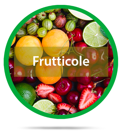 frutticole