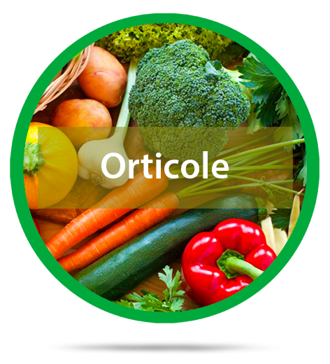 orticole